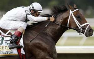 WHAT HORSE WON THE SAM DAVIS STAKES AND WENT ON TO SHOCK MANY WITH HIS PERFORMACE IN THE TRIPLE CROWN RACES?