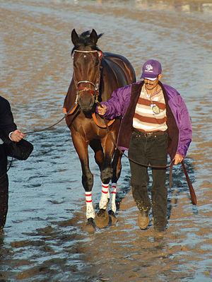 WHAT IS THE ONLY HORSE TO WIN THE TAMPA BAY DERBY AND THE KENTUCKY DERBY?