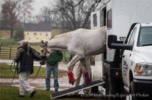 Silver Charm Arrives Home at Old Friends