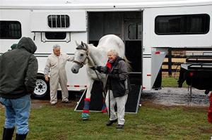 Silver Charm Arrives Home at Old Friends