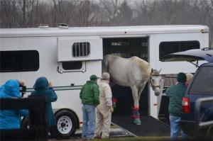 Silver Charm Arrives Home at Old Friends