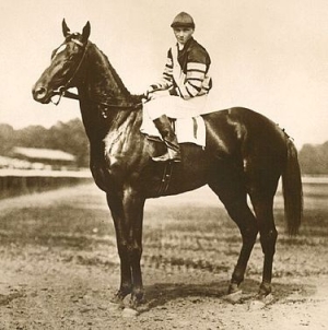 WHAT HORSE WON THE 1919 SANFORD STAKES IN SARATOGA?