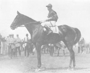 WHAT HORSES WON KENTUCKY DERBIES DURING THE SPANISH FLU?