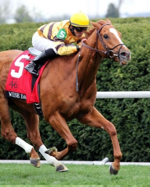 WHAT HORSE HOLDS BOTH THE TRACK AND STAKES SPEED RECORD FOR THE WOODBINE MILE?