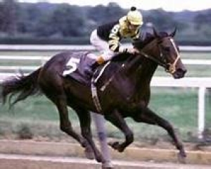 WHAT IS THE ONLY HORSE TO WIN THE CHAMPAGNE STAKES (GI) AND GO ON TO WIN THE TRIPLE CROWN?
