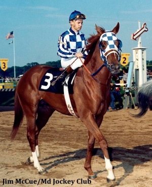 WHAT IS THE ONLY HORSE TO WIN THE CHAMPAGNE STAKES (GI) AND GO ON TO WIN THE TRIPLE CROWN?