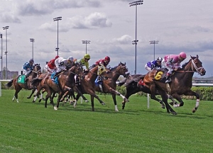 HOW MANY TRACKS DOES WOODBINE RACETRACK HAVE?