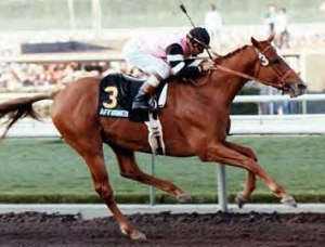 WHAT IS THE ONLY TRIPLE CROWN WINNER TO WIN THE HOLLYWOOD DERBY?