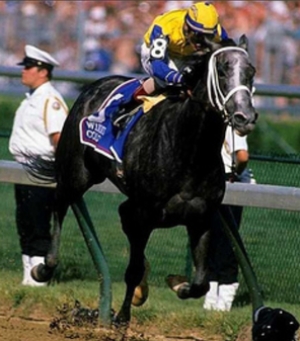 WHAT HORSE DENIED RISEN STAR THE 1988 TRIPLE CROWN?