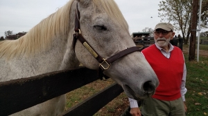 MEMORIES OF THE BELMONT STAKES