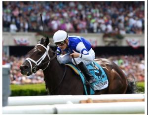 SIZING UP THE 13 BREEDERS' CUP RACES