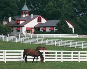 WHO HOLDS THE TRACK RECORD FOR THE FLORIDA DERBY?