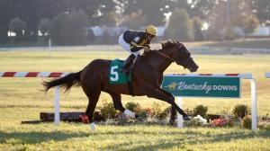 WHAT MAKES KENTUCKY DOWNS SUCH AN UNUSUAL RACETRACK?