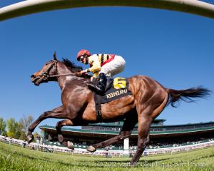 WHAT IS THE ONLY YEAR THE SHADWELL TURF MILE WAS NOT RUN ON THE KEENELAND TURF COURSE?