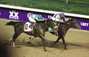 WHAT HORSE WON THE FAYETTE STAKES AS A 3-YEAR-OLD AND IN THE NEXT YEAR WON THE BREEDERS' CUP CLASSIC?