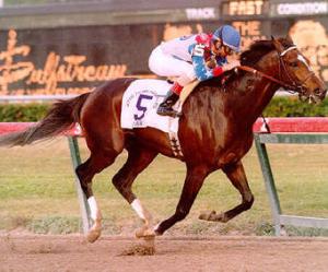 WHAT HORSE STOPPED CIGAR'S WINNING STREAK AT 16 CONSECUTIVE WINS?